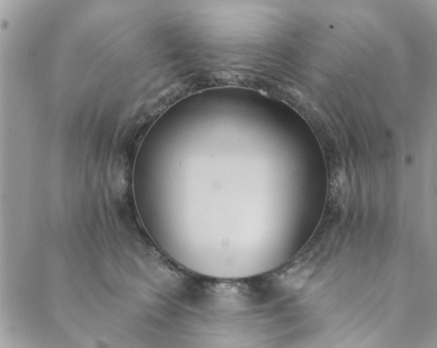 X0000089420566200706291036