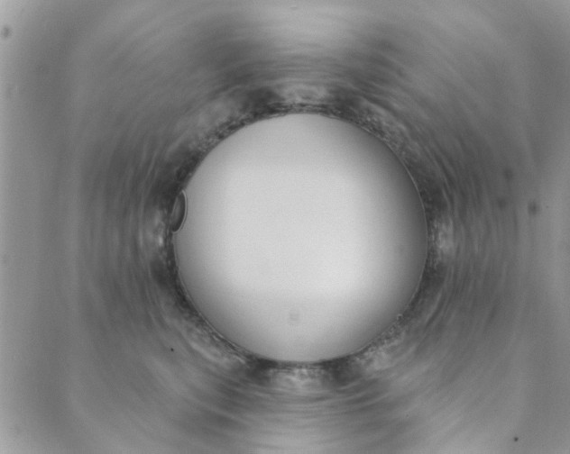 X0000089420567200706291036