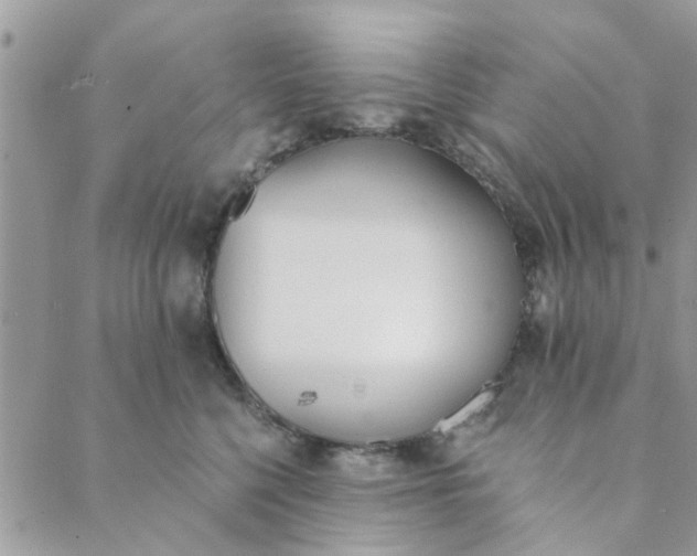 X0000089420568200706291036