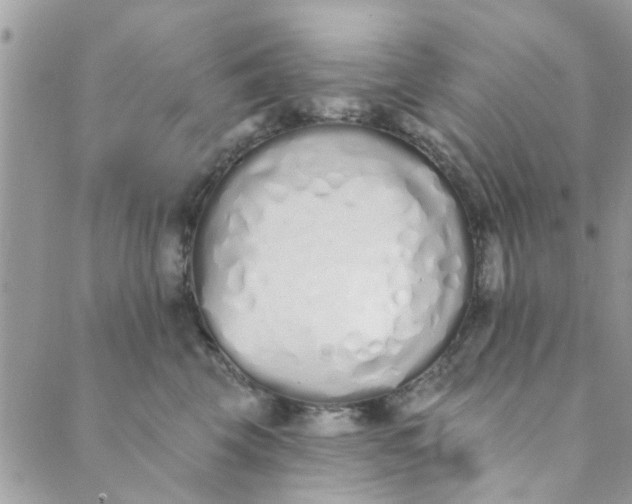 X0000089420569200706291036