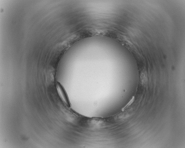 X0000089420570200706291036