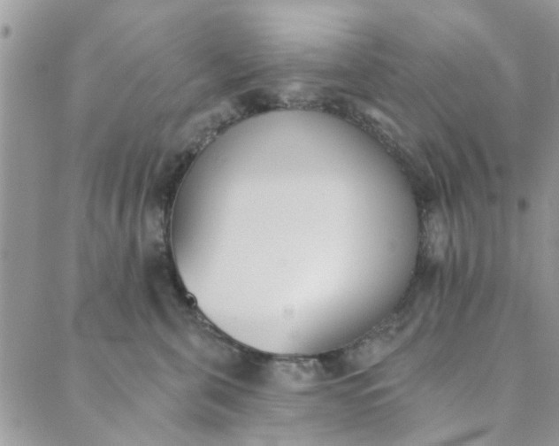 X0000089420571200706291036