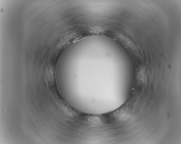 X0000089420572200706291036