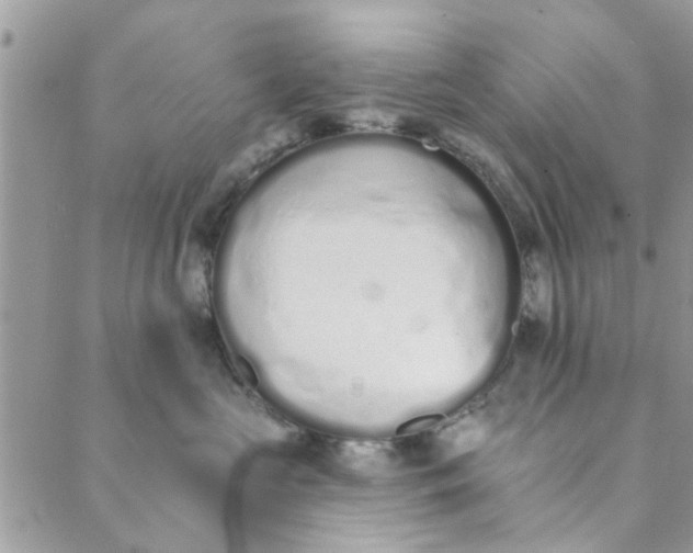 X0000089420573200706291036