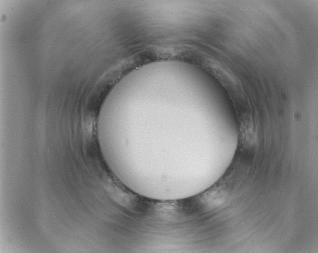 X0000089420574200706291036