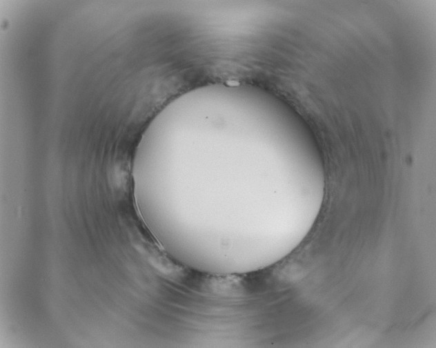 X0000089420576200706291036