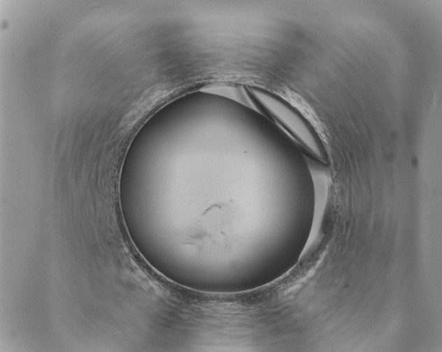 X0000089420577200706291035