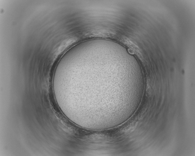 X0000089420578200706291035