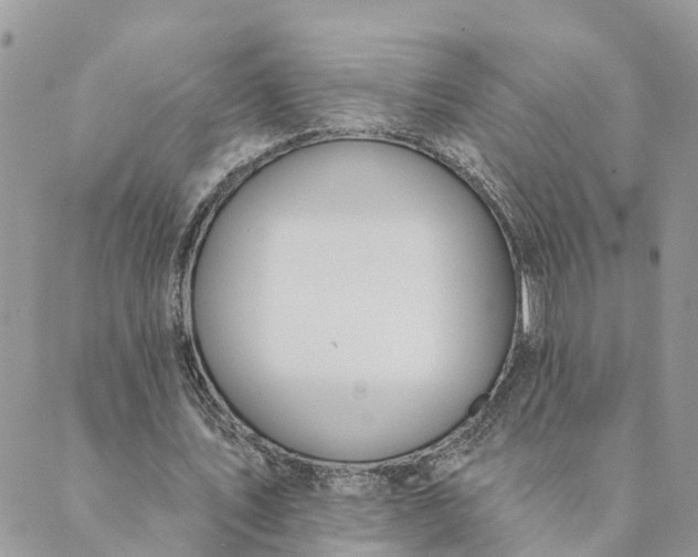 X0000089420579200706291035