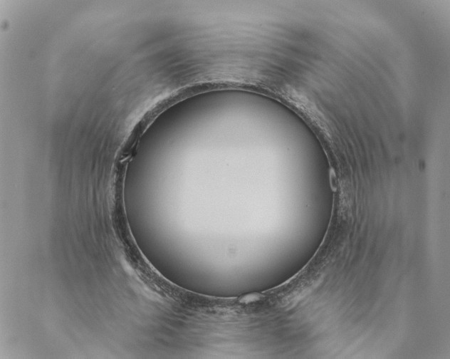 X0000089420580200706291035