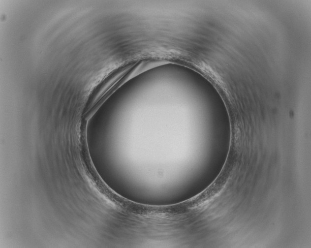 X0000089420581200706291035