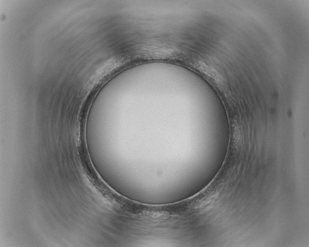 X0000089420582200706291035