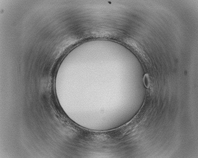 X0000089420583200706291035