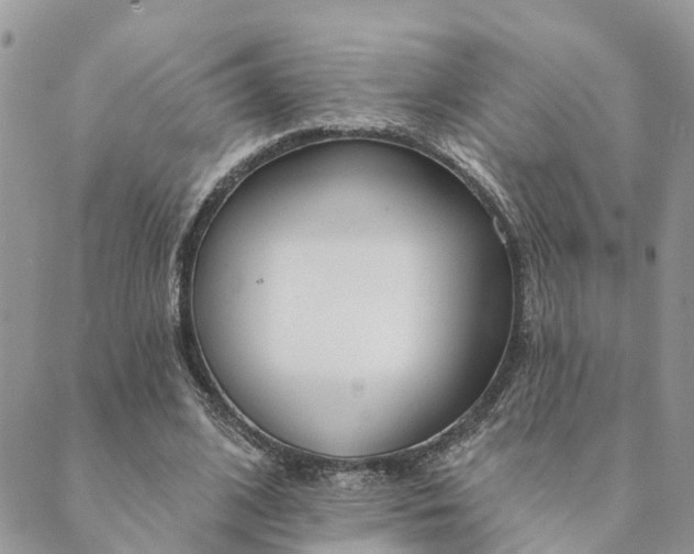 X0000089420584200706291035