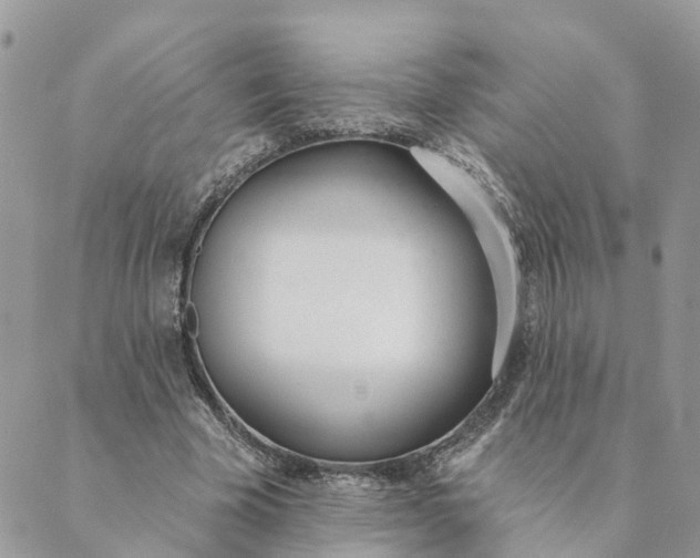 X0000089420585200706291035