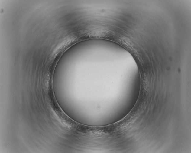 X0000089420586200706291035