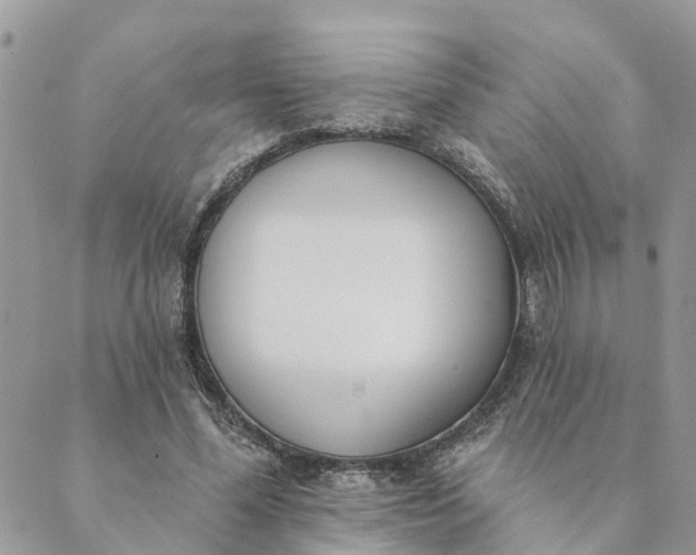 X0000089420588200706291035