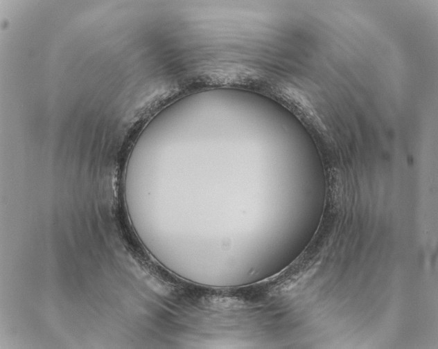 X0000089420590200706291035