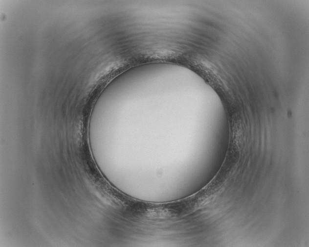 X0000089420591200706291035