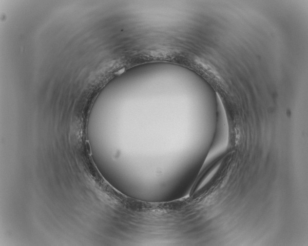 X0000089420593200706291035