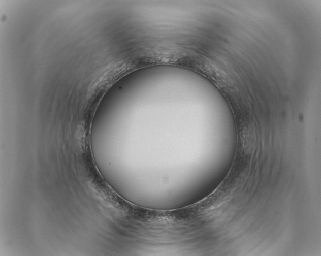 X0000089420594200706291035