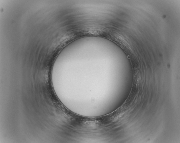 X0000089420595200706291035