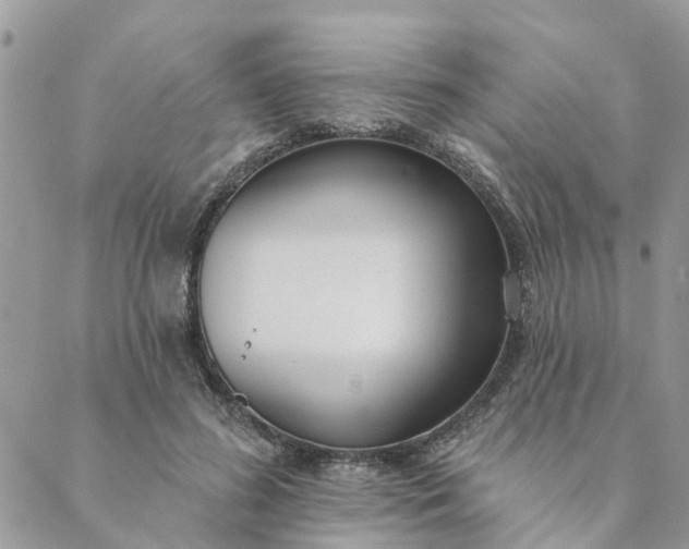 X0000089420596200706291035