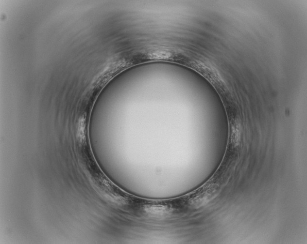 X0000089420598200706291035