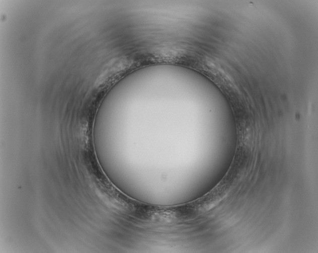 X0000089420599200706291035