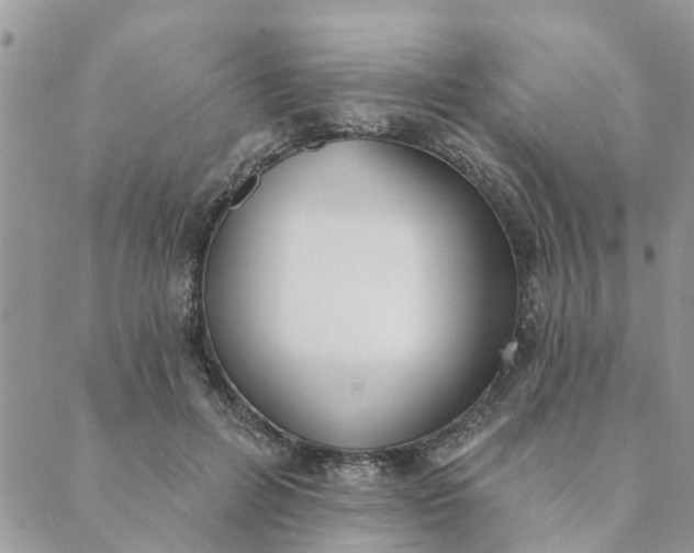 X0000089420600200706291035