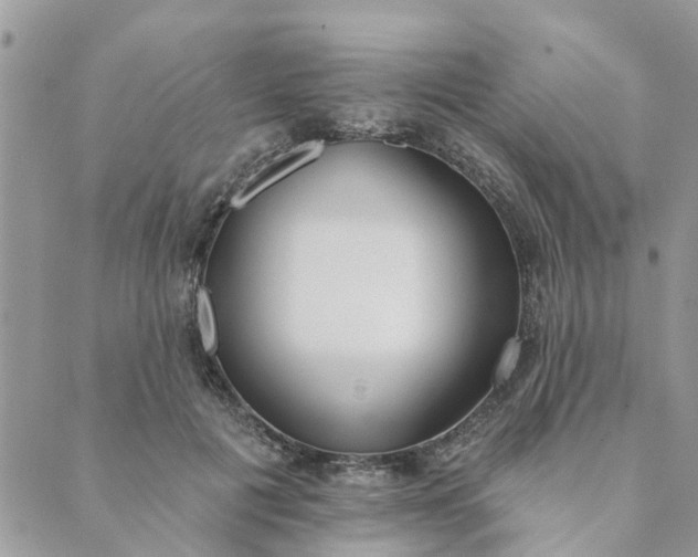 X0000089420601200706291035