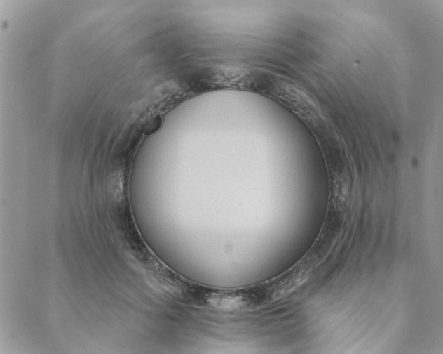 X0000089420602200706291035