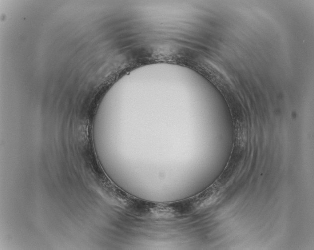 X0000089420603200706291035