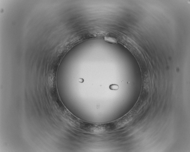 X0000089420604200706291035