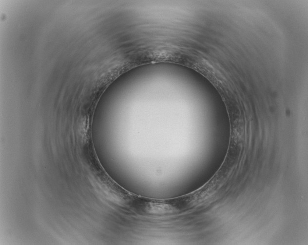 X0000089420605200706291035