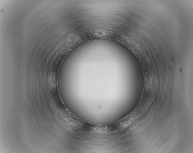 X0000089420606200706291034