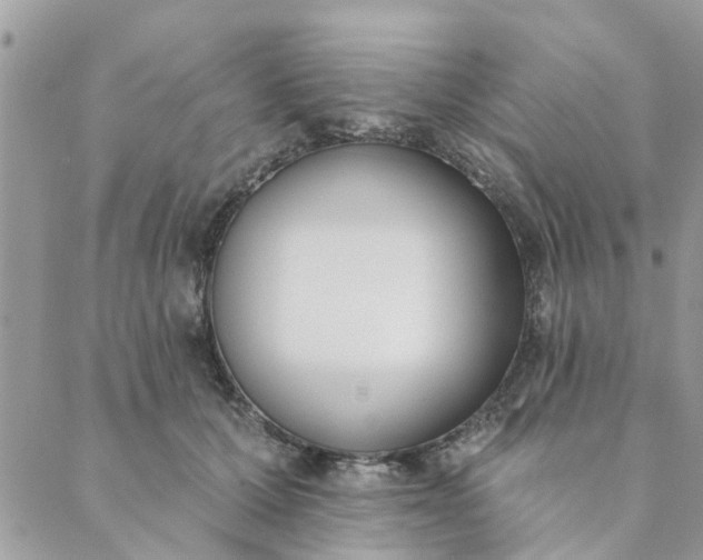 X0000089420607200706291034