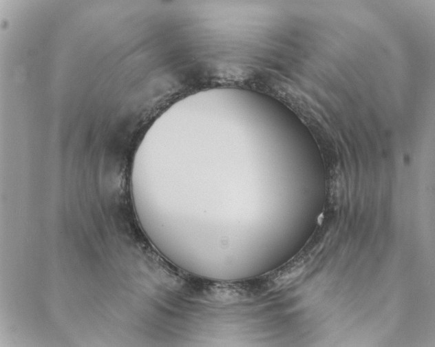 X0000089420608200706291034