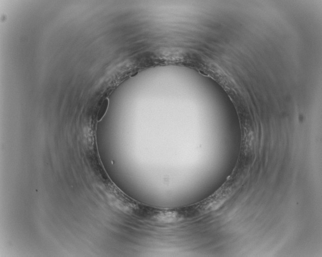 X0000089420609200706291034