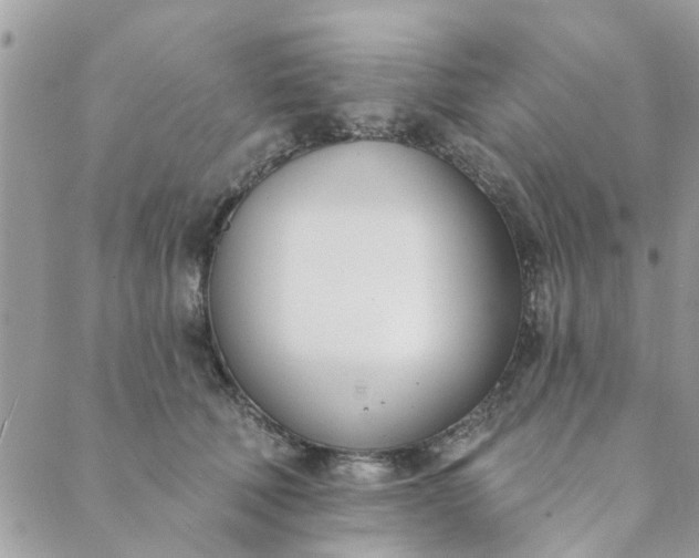 X0000089420610200706291034