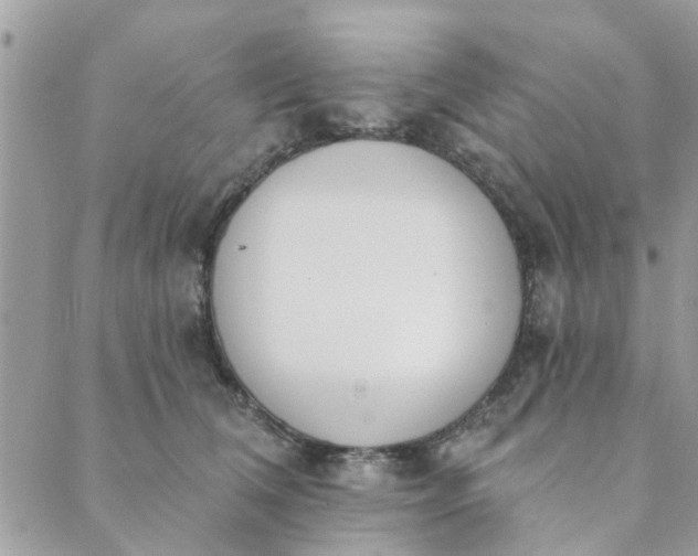 X0000089420612200706291034