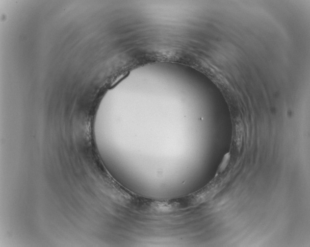 X0000089420613200706291034