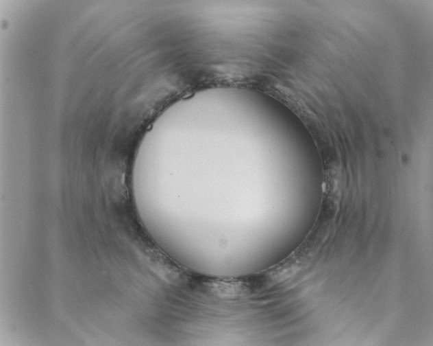 X0000089420615200706291034