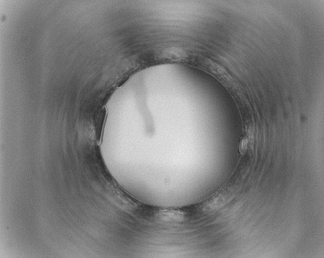 X0000089420617200706291034