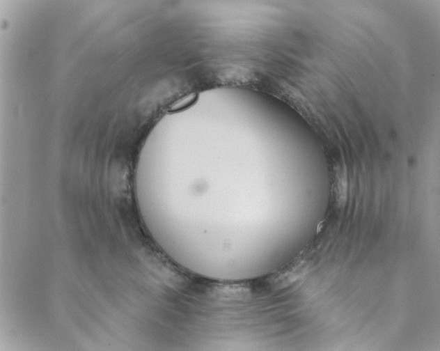 X0000089420619200706291034