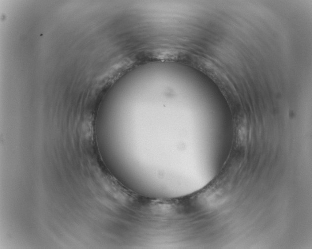 X0000089420620200706291034