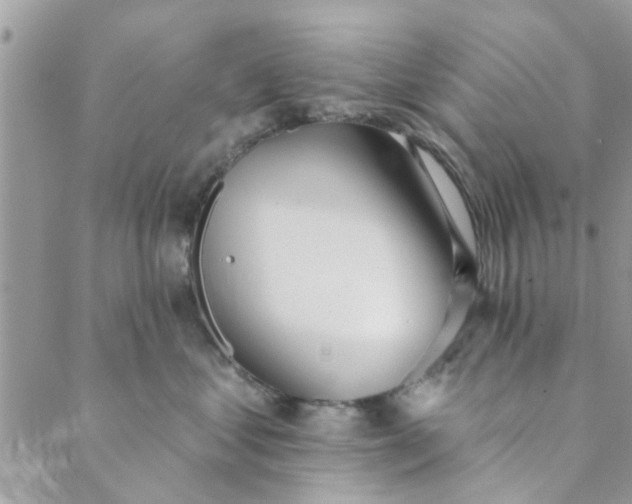 X0000089420621200706291034