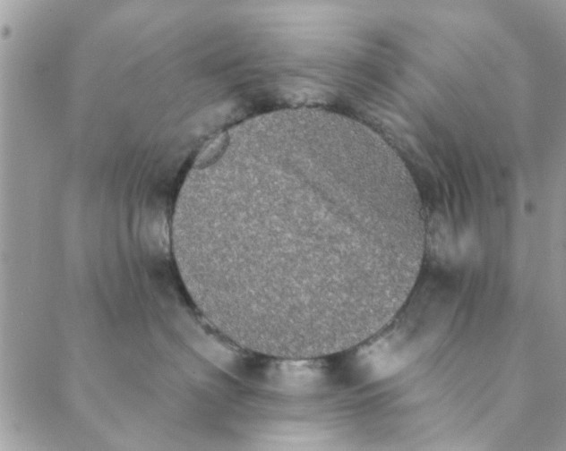 X0000089420622200706291034