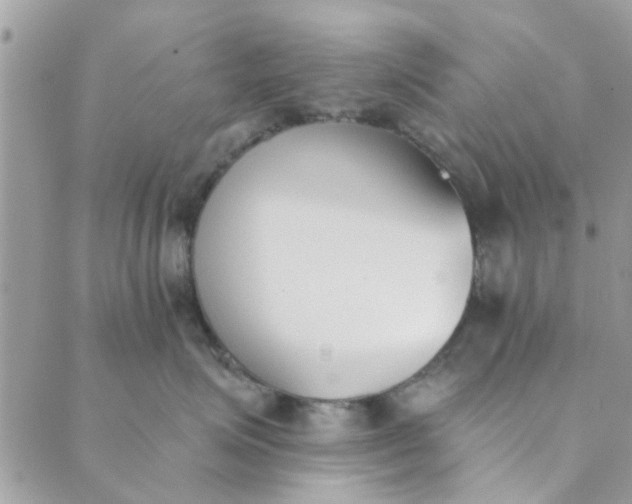 X0000089420623200706291034