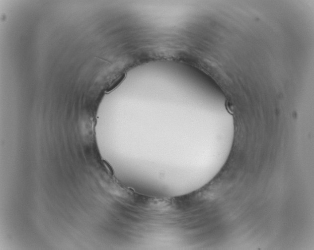 X0000089420624200706291034